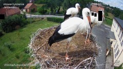IMG_0013.jpeg