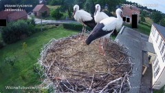 IMG_0039.jpeg