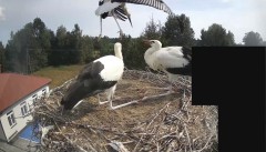IMG_5842.jpeg