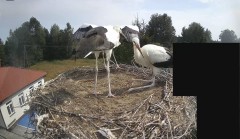 IMG_5848.jpeg