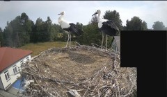 IMG_5849.jpeg