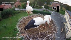 IMG_0057.jpeg