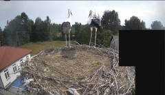 IMG_5852.jpeg