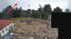 IMG_5856.jpeg