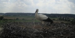 IMG_5804.jpeg