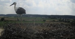 IMG_5806.jpeg