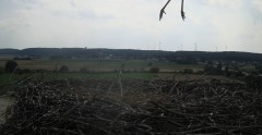 IMG_5809.jpeg