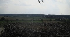 IMG_5810.jpeg