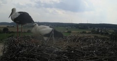 IMG_5814.jpeg