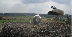IMG_5816.jpeg
