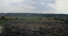 IMG_5819.jpeg