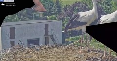 IMG_5599.jpeg