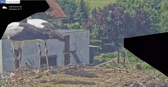 IMG_5609.jpeg