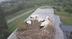 IMG_5926.jpeg