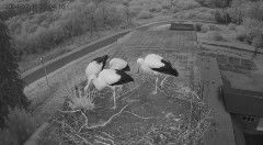 IMG_5952.jpeg