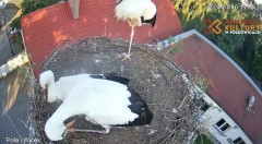 IMG_5986.jpeg