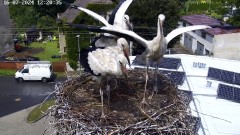 IMG_5768.jpeg