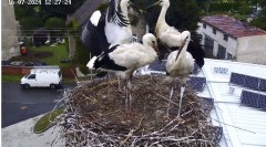 IMG_6004.jpeg