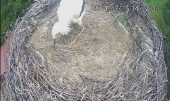 bandicam 2024-07-17 14-24-46-061.jpg