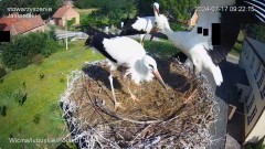 IMG_0164.jpeg