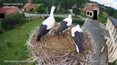 IMG_0224.jpeg