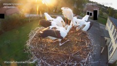 IMG_0312.jpeg
