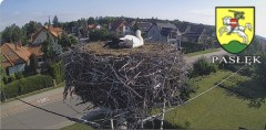 IMG_3338.jpeg