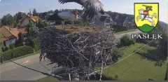 IMG_3340.jpeg
