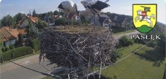 IMG_3341.jpeg