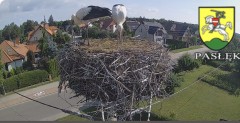 IMG_3350.jpeg
