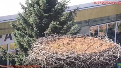 2024-07-18 11_21_13-Filmy i TV.jpg
