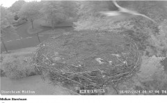 bandicam 2024-07-18 12-26-26-944.jpg
