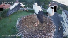 IMG_0323.jpeg