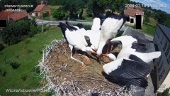 IMG_0406.jpeg