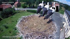 IMG_0421.jpeg