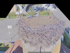 IMG_6438.jpeg