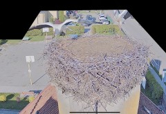 IMG_6444.jpeg