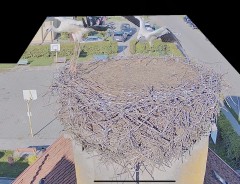 IMG_6445.jpeg