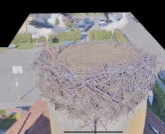 IMG_6447.jpeg