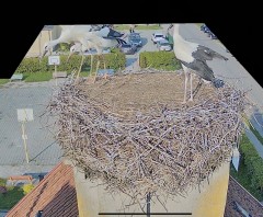 IMG_6460.jpeg