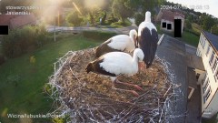 IMG_0508.jpeg