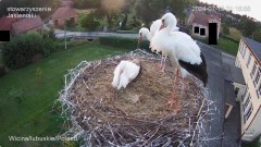 IMG_0518.jpeg