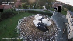 IMG_0519.jpeg