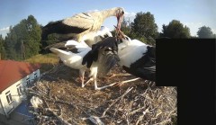 IMG_6481.jpeg