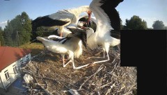 IMG_6482.jpeg