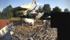 IMG_6485.jpeg