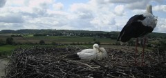 IMG_6293.jpeg