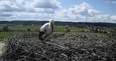 IMG_6316.jpeg