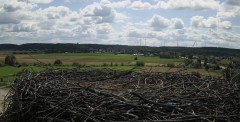 IMG_6407.jpeg