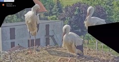 IMG_6273.jpeg
